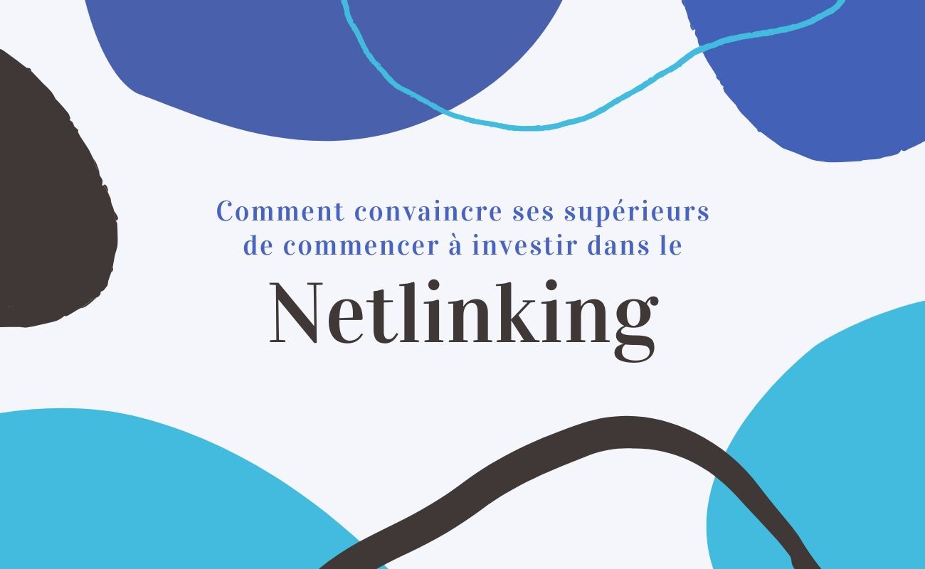 How to convince your managers to invest in netlinking