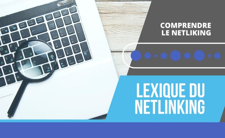 Lexique du Netlinking