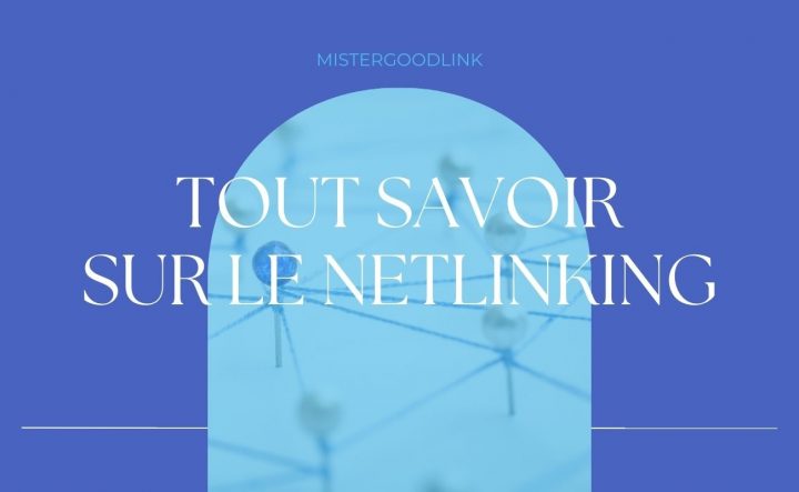 ¿Qué es el netlinking?